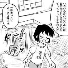 アイちゃんとアンノウン, 日本語