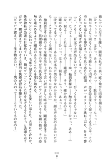 仰せのままにお嬢さま!, 日本語