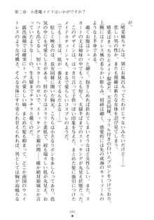 メイドなお姉さんはいかがですか？, 日本語