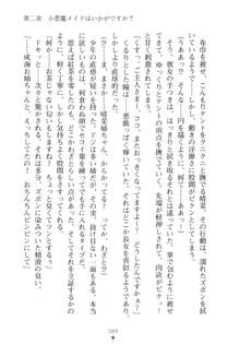 メイドなお姉さんはいかがですか？, 日本語