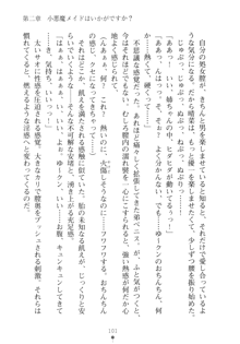 メイドなお姉さんはいかがですか？, 日本語