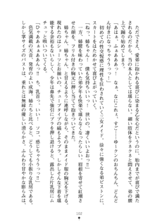 メイドなお姉さんはいかがですか？, 日本語