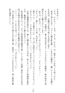 メイドなお姉さんはいかがですか？, 日本語