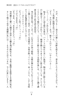 メイドなお姉さんはいかがですか？, 日本語