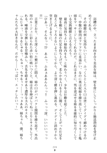 メイドなお姉さんはいかがですか？, 日本語