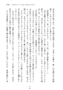 メイドなお姉さんはいかがですか？, 日本語