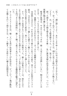 メイドなお姉さんはいかがですか？, 日本語