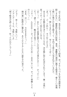 メイドなお姉さんはいかがですか？, 日本語