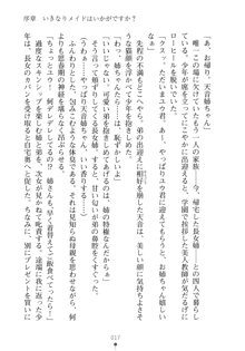 メイドなお姉さんはいかがですか？, 日本語