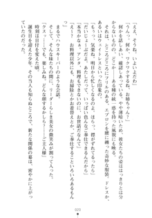 メイドなお姉さんはいかがですか？, 日本語