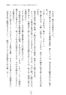 メイドなお姉さんはいかがですか？, 日本語