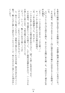 メイドなお姉さんはいかがですか？, 日本語