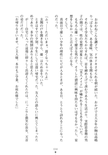 メイドなお姉さんはいかがですか？, 日本語