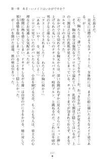 メイドなお姉さんはいかがですか？, 日本語