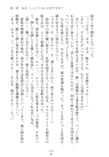 メイドなお姉さんはいかがですか？, 日本語