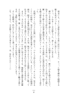 メイドなお姉さんはいかがですか？, 日本語