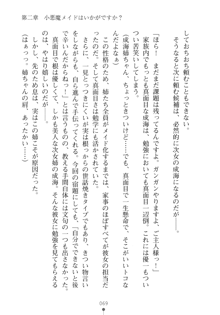 メイドなお姉さんはいかがですか？, 日本語