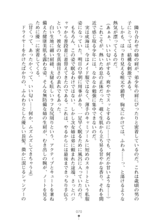 メイドなお姉さんはいかがですか？, 日本語