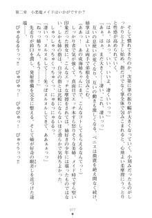 メイドなお姉さんはいかがですか？, 日本語