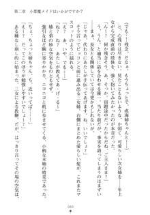 メイドなお姉さんはいかがですか？, 日本語