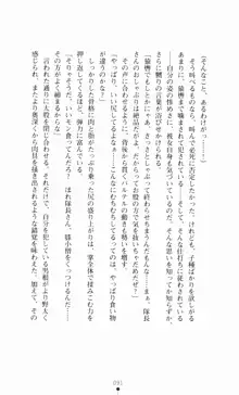 堕とされし聖鎧, 日本語