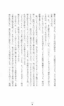 堕とされし聖鎧, 日本語