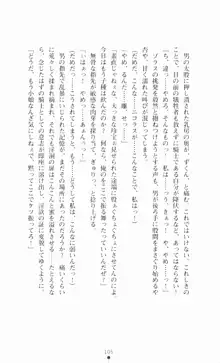 堕とされし聖鎧, 日本語