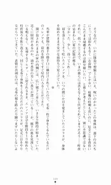 堕とされし聖鎧, 日本語