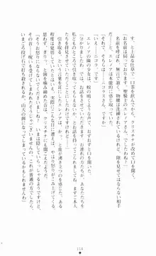 堕とされし聖鎧, 日本語