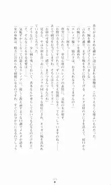 堕とされし聖鎧, 日本語