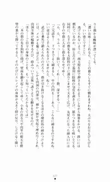 堕とされし聖鎧, 日本語