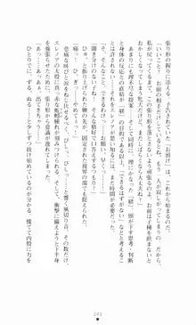 堕とされし聖鎧, 日本語