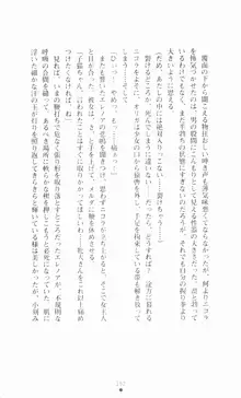 堕とされし聖鎧, 日本語