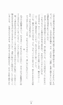 堕とされし聖鎧, 日本語