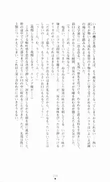 堕とされし聖鎧, 日本語