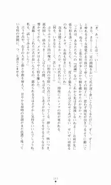 堕とされし聖鎧, 日本語