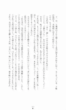 堕とされし聖鎧, 日本語