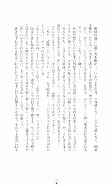 堕とされし聖鎧, 日本語