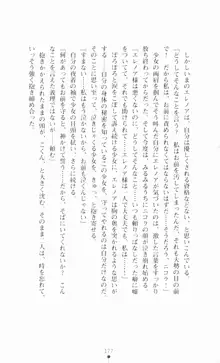 堕とされし聖鎧, 日本語