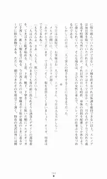 堕とされし聖鎧, 日本語