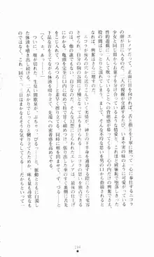 堕とされし聖鎧, 日本語