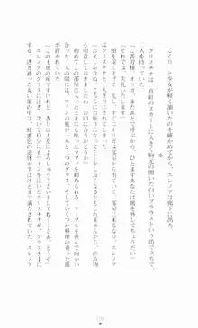 堕とされし聖鎧, 日本語