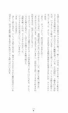 堕とされし聖鎧, 日本語