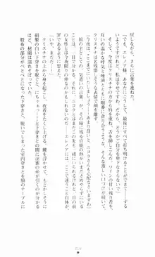 堕とされし聖鎧, 日本語