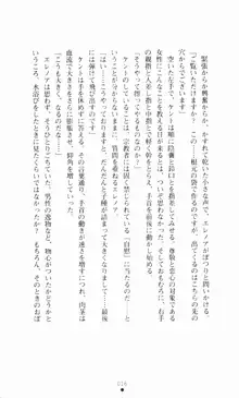 堕とされし聖鎧, 日本語