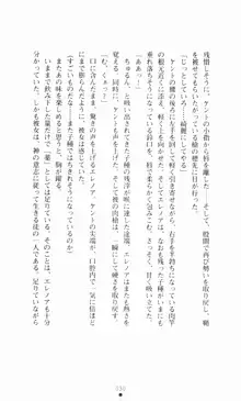 堕とされし聖鎧, 日本語