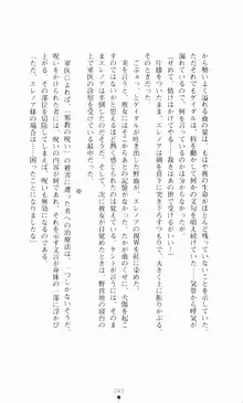 堕とされし聖鎧, 日本語