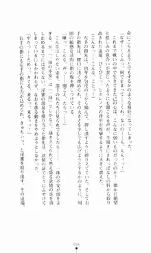 堕とされし聖鎧, 日本語