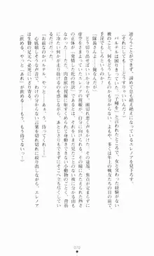 堕とされし聖鎧, 日本語