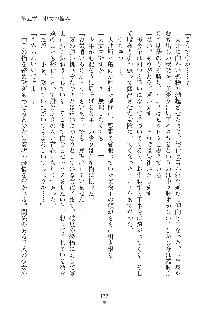 ミルク学園 にゅ～生徒会パラダイス, 日本語